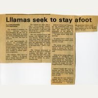The llama&rsquo;s story &mdash; Buttons & miscellany